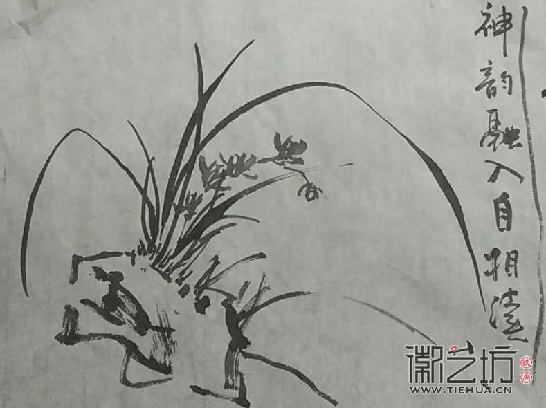 2017.3.18鐵畫知行社第二期課程報(bào)道15 (2)