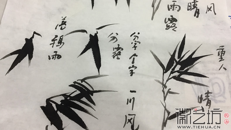 2017.3.18鐵畫知行社第二期課程報(bào)道16 (5)