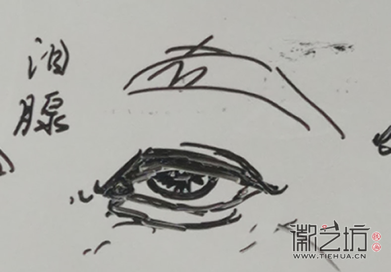 2017.4.15沒(méi)有對(duì)比不是藝術(shù)&mdash;&mdash;鐵畫(huà)知行社第四期課程報(bào)道10