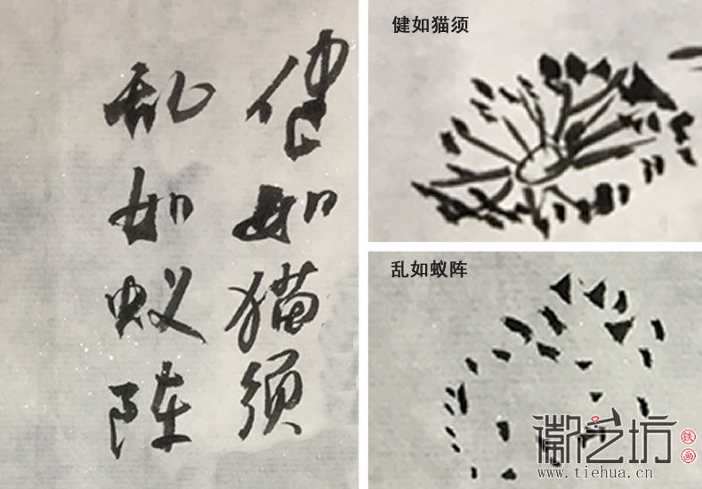 健如貓須 亂如蟻陣2