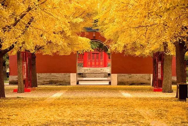 中國(guó)絕色10