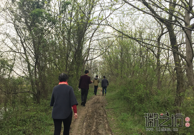 蕪湖鐵畫(huà)知行社南陵農(nóng)家采風(fēng) (14)