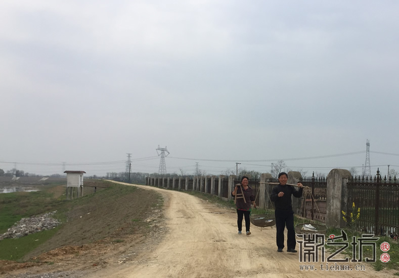 蕪湖鐵畫(huà)知行社南陵農(nóng)家采風(fēng) (19)