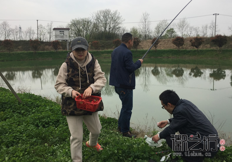 蕪湖鐵畫(huà)知行社南陵農(nóng)家采風(fēng) (8)