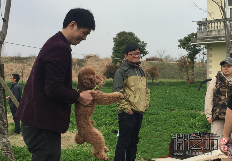 蕪湖鐵畫(huà)知行社南陵農(nóng)家采風(fēng) (11)