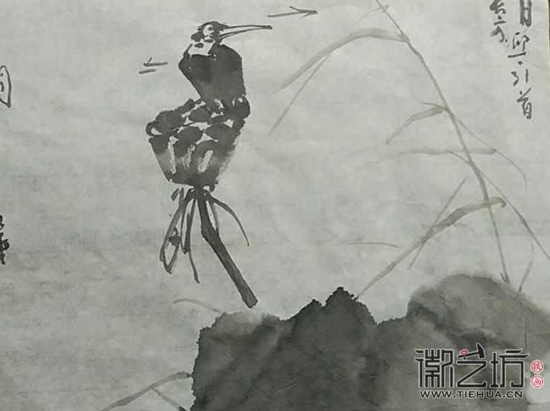 2017.3.18鐵畫知行社第二期課程報(bào)道17 (2)