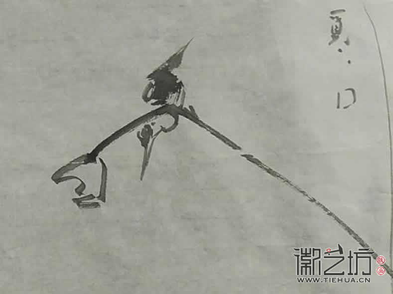 2017.3.18鐵畫知行社第二期課程報(bào)道17 (3)