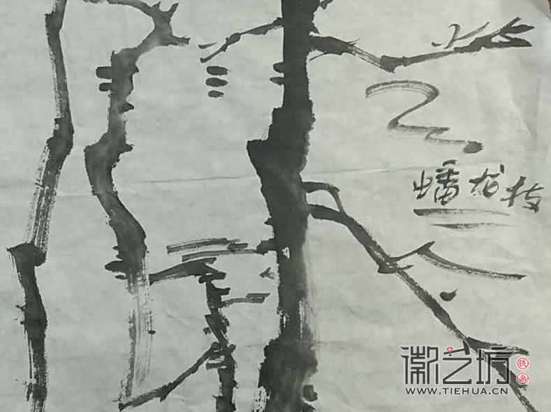 2017.3.18鐵畫知行社第二期課程報(bào)道20