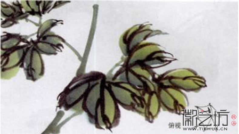 2017.3.30春雨綿綿話牡丹10