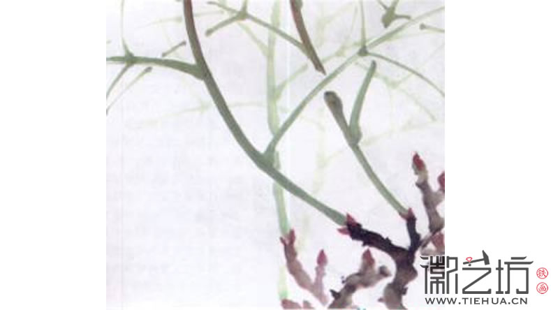 2017.3.30春雨綿綿話牡丹12