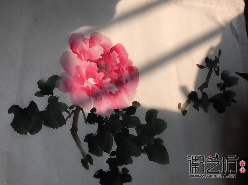 2017.4.5鐵畫知行社第三期課程報道15