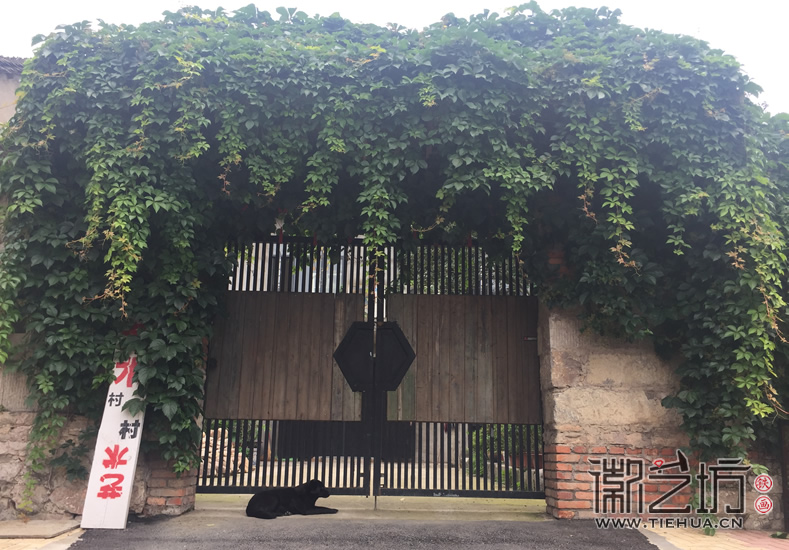 徽藝坊鐵畫(huà)夢(mèng)之隊(duì)于陶辛七房村拍攝集體形象照 (2)