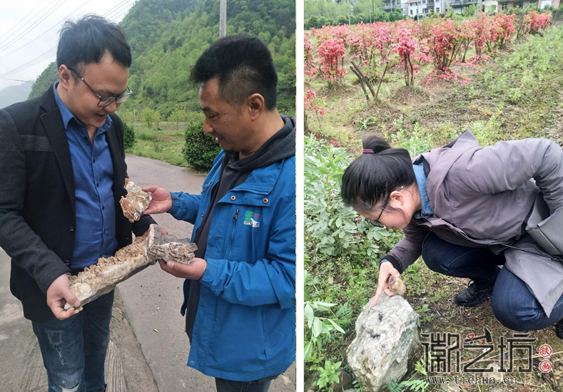 蕪湖鐵畫知行社第二十八期&mdash;&mdash;尋訪宣石21