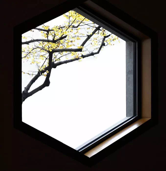 中國的園林，到底美在哪里 (9)