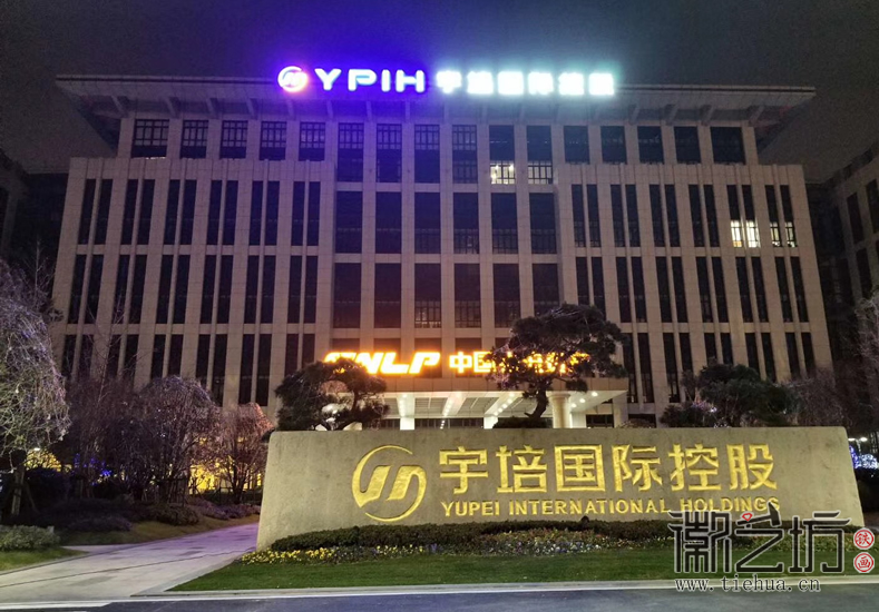 徽藝坊定制上海宇培國際VIP廳浮雕彩繪裝飾鐵畫 (8)